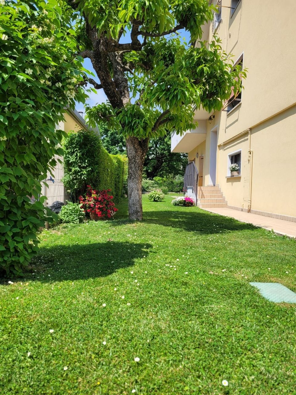 Struttura giardino 3 Struttura giardino 3