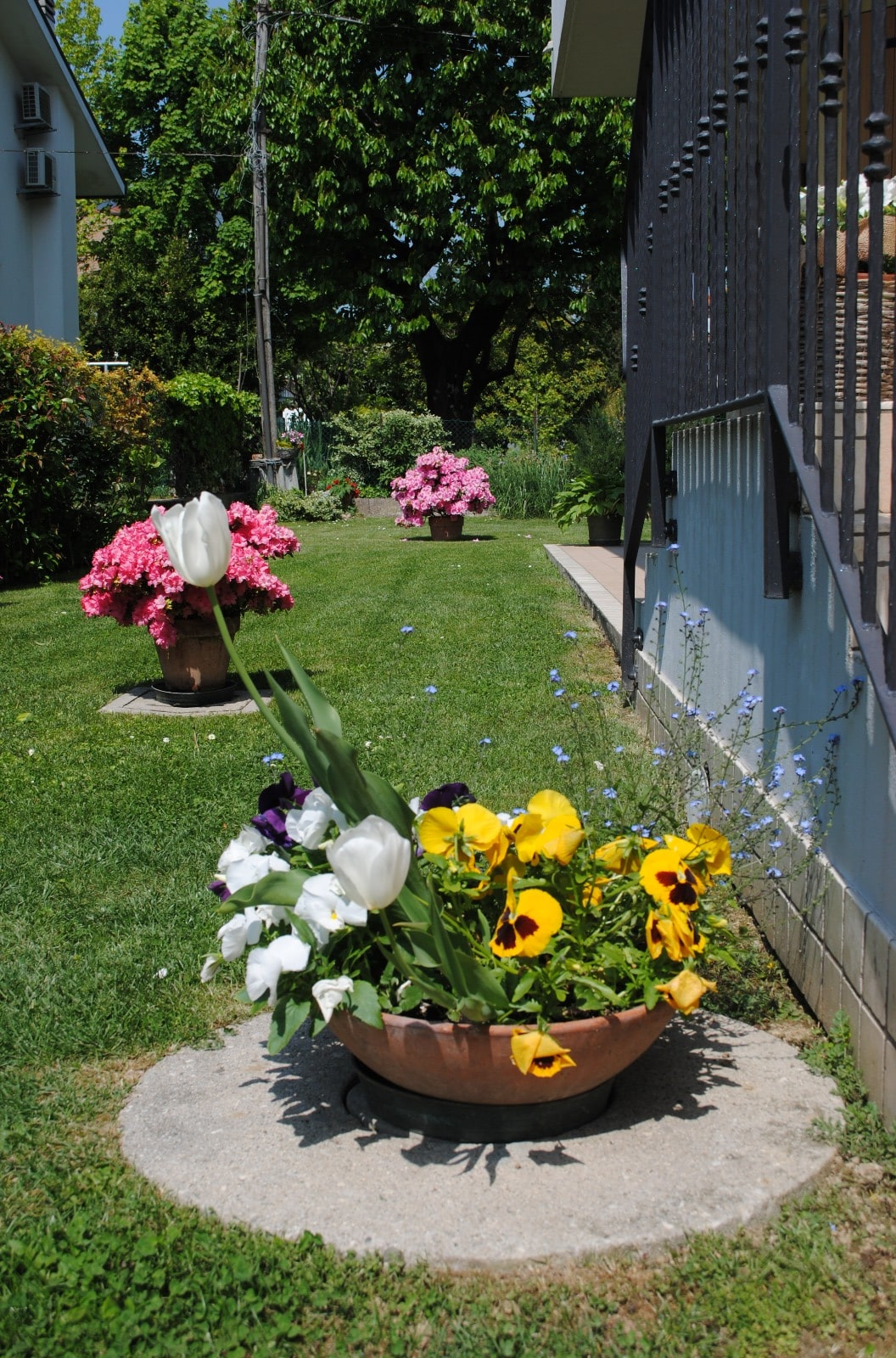 Struttura giardino 2 Struttura giardino 2