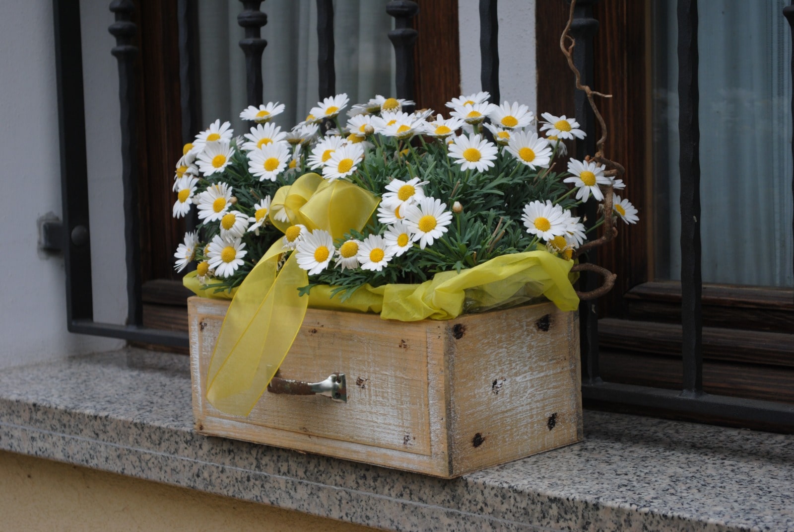 B&B Sile giardino